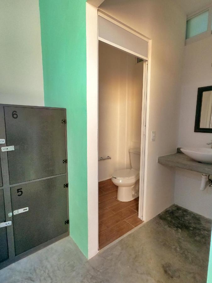 Guest house Paziflora -starlink-