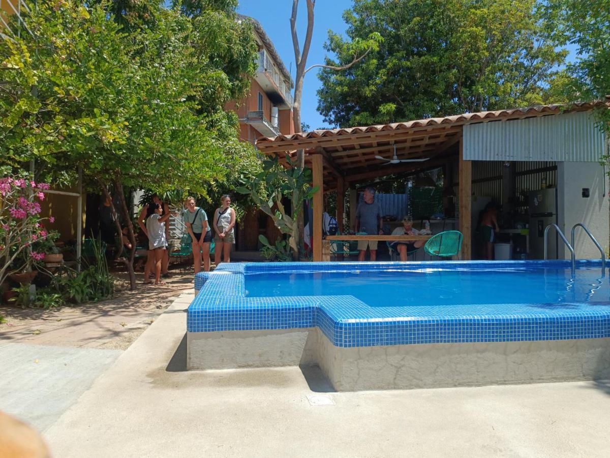 Paziflora -starlink- * Puerto Escondido (Oaxaca)