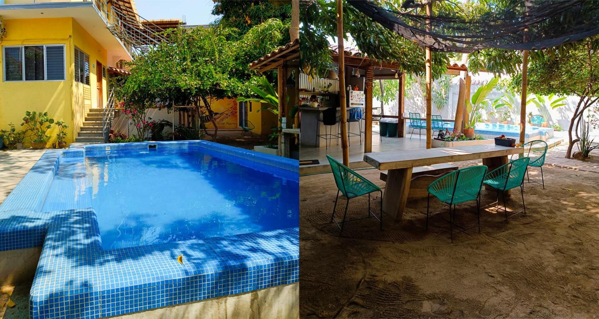 Paziflora -starlink- Guest house *