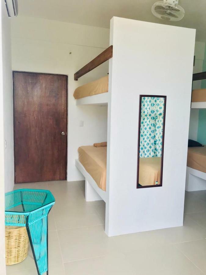 Paziflora -starlink- Guest house